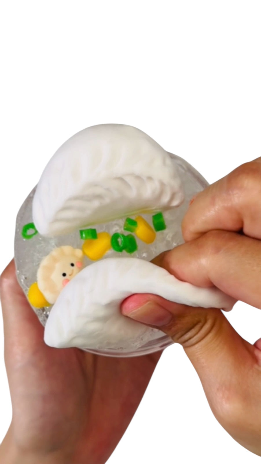Dumpling Soup